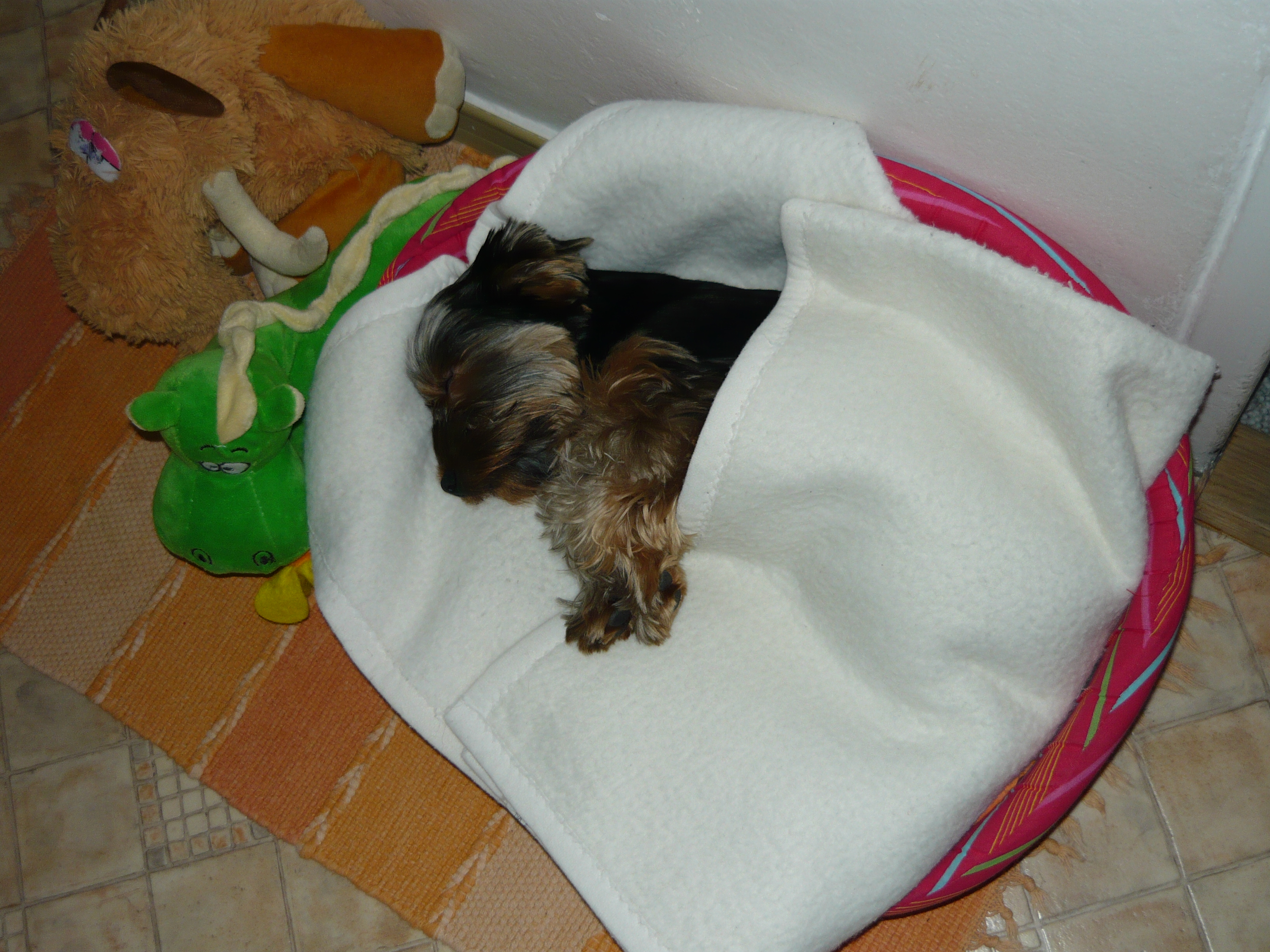P1000151.JPG